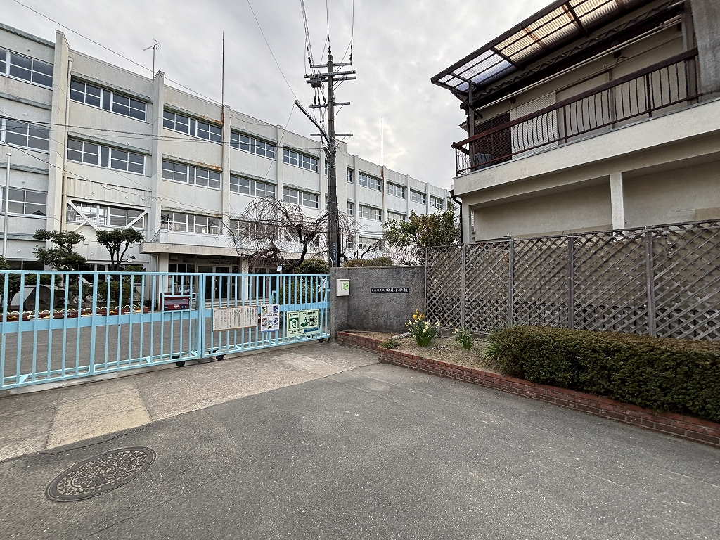 田井小学校
